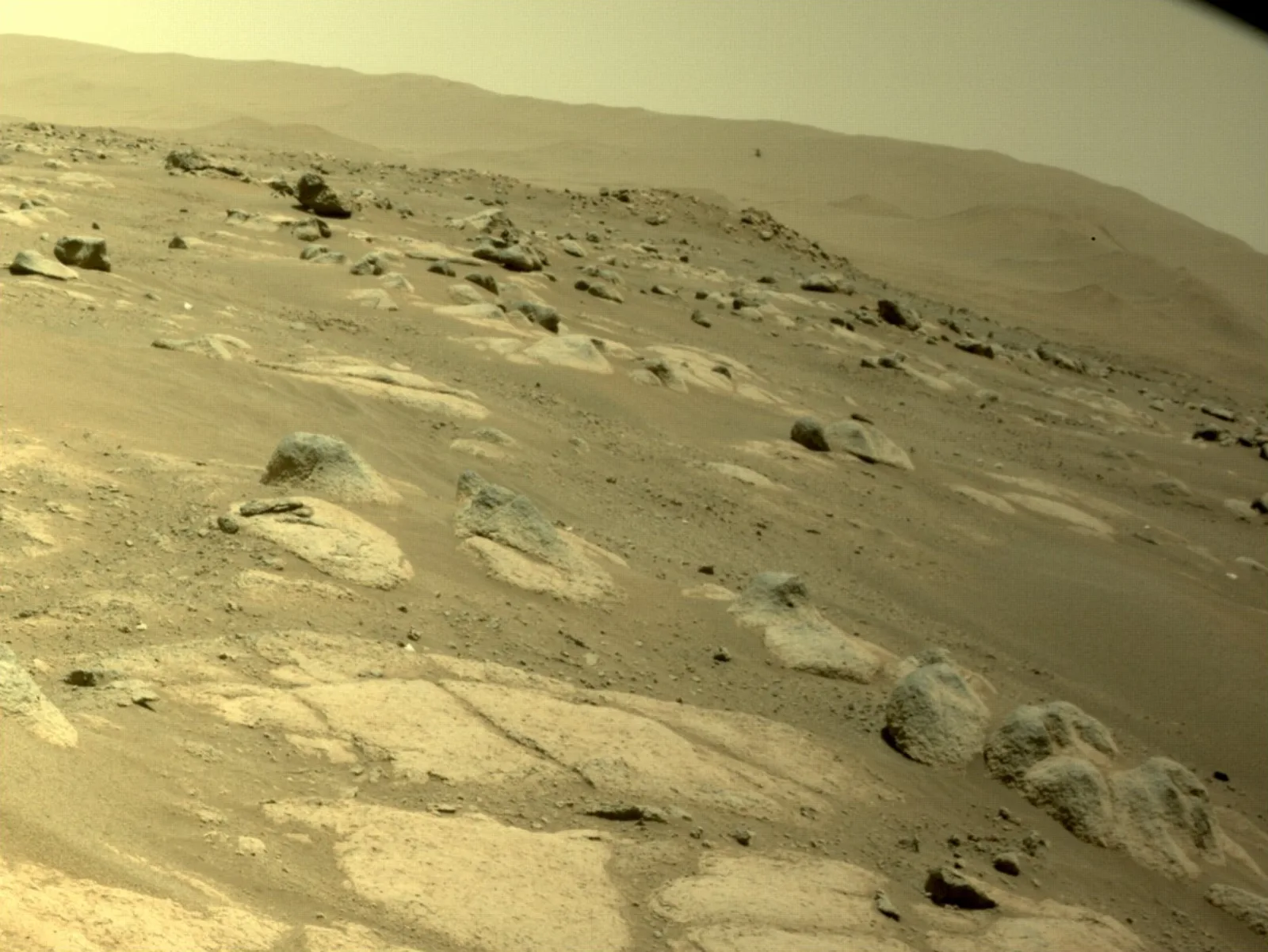 Image credit: Twitter | @NASAJPL