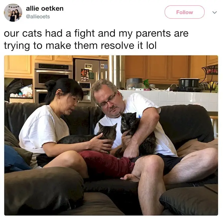 Image credit: Twitter | @allieoets