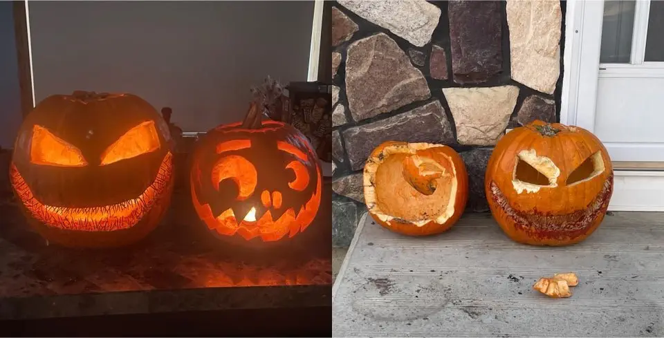 Image credit: Reddit | Sysion