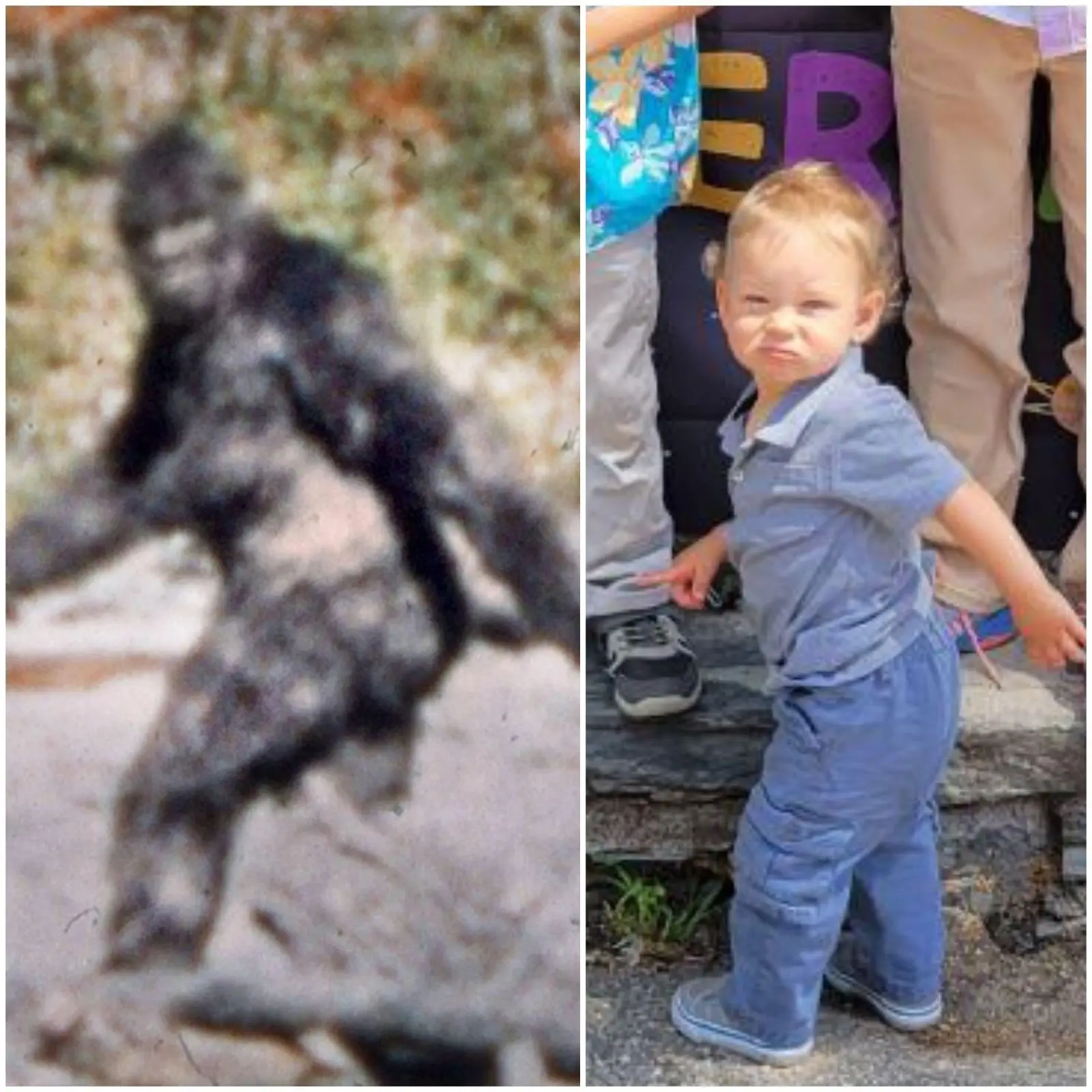 Image credit: Reddit | featherwolf