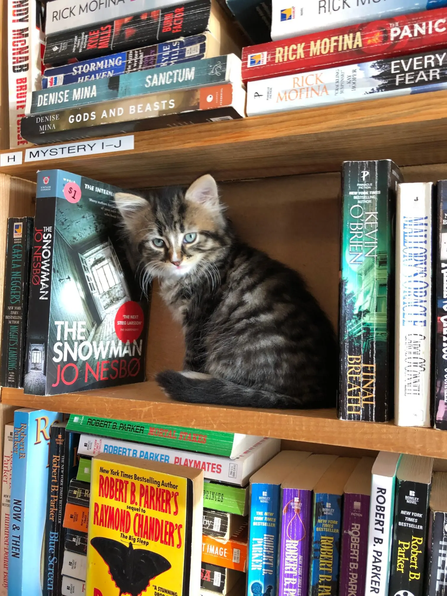 Image credit: Facebook | Otis & Clementine's Books & Coffee