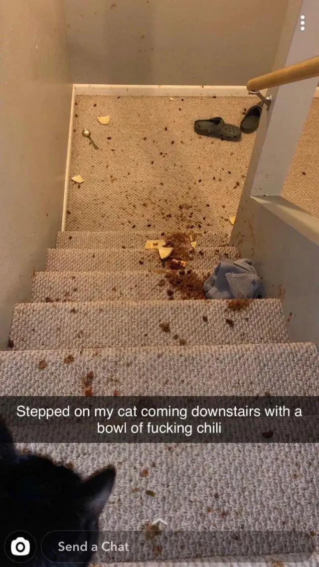 Image credit: Reddit | GoAwayK