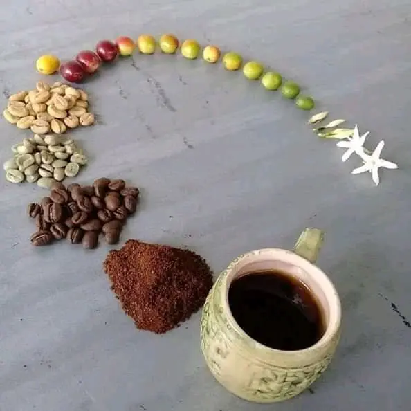Image credit: Reddit | Sissinou