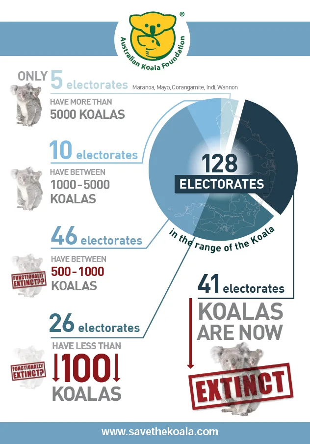 Image credit: Australian Koala Foundation