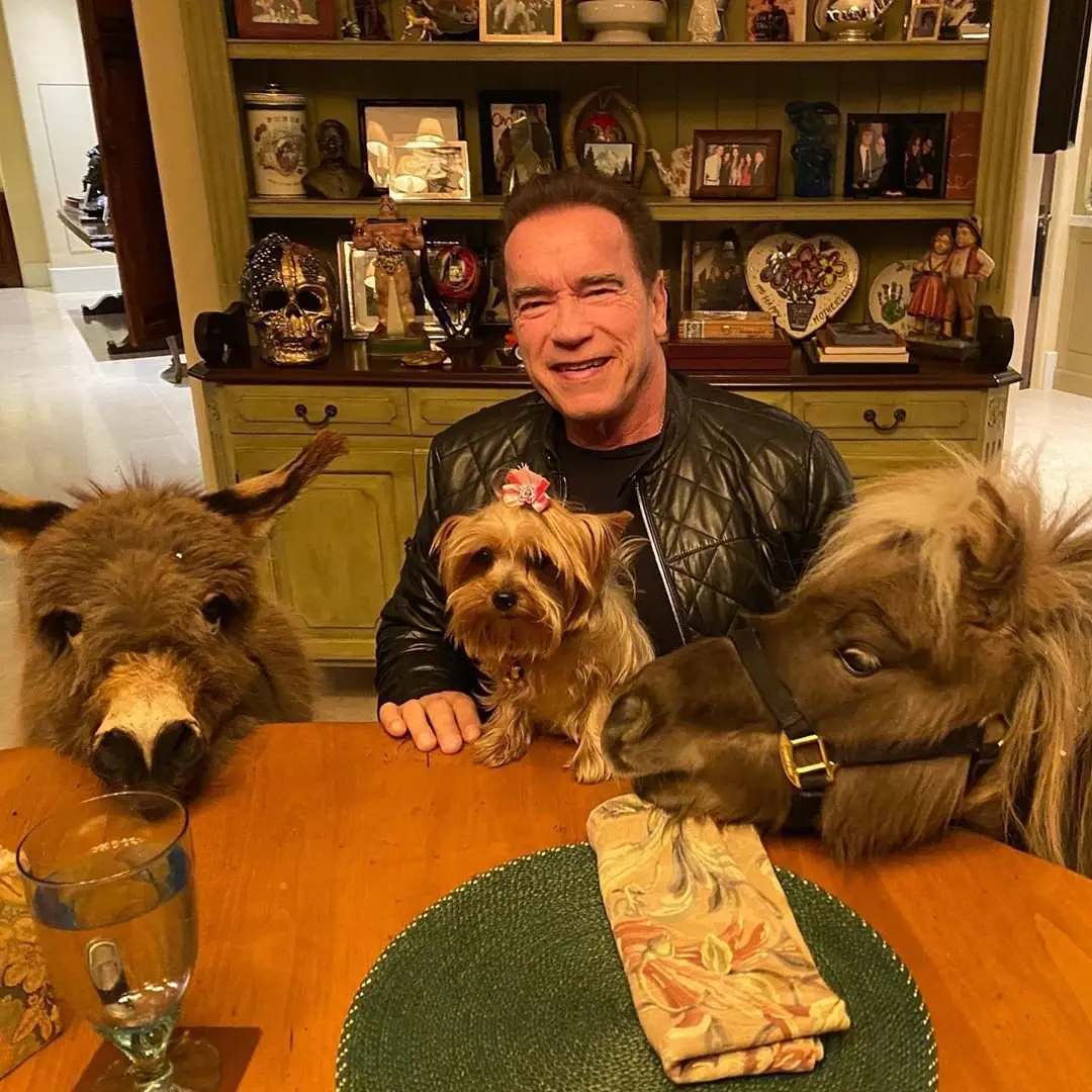 Image credit: Instagram | @schwarzenegger