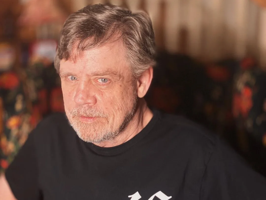 Image credit: Instagram @hamillhimself