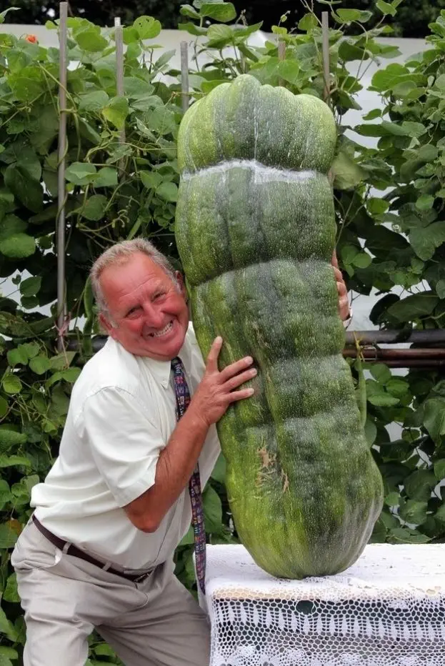 Image credit: Reddit | FORESTMAN100