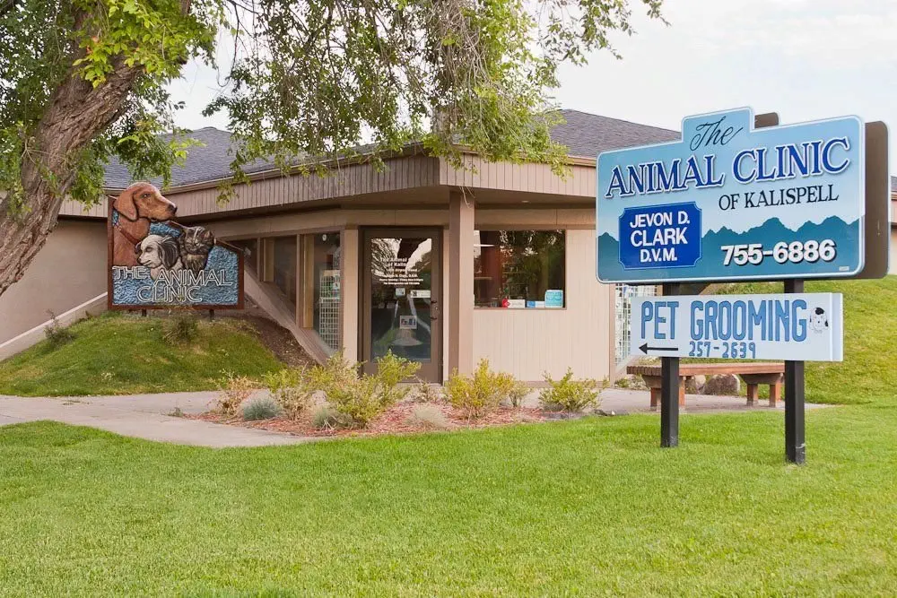 Image credit: Facebook | Animal Clinic of Kalispell