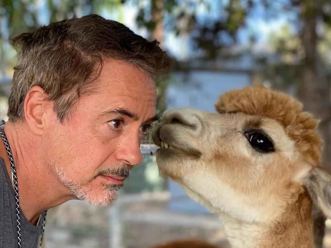 Image credit: Instagram | @robertdowneyjr