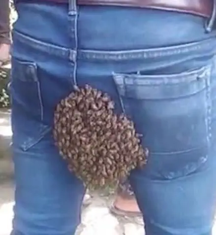 Image credit: YouTube | The Times Of India