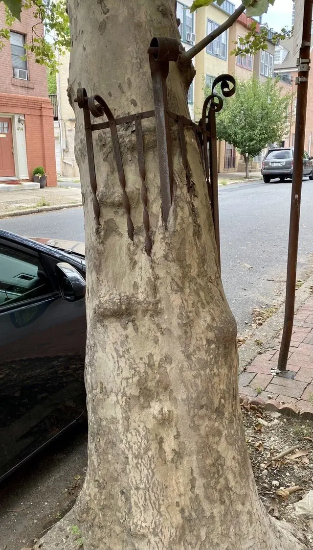 Image credit: Reddit | Jrobmn