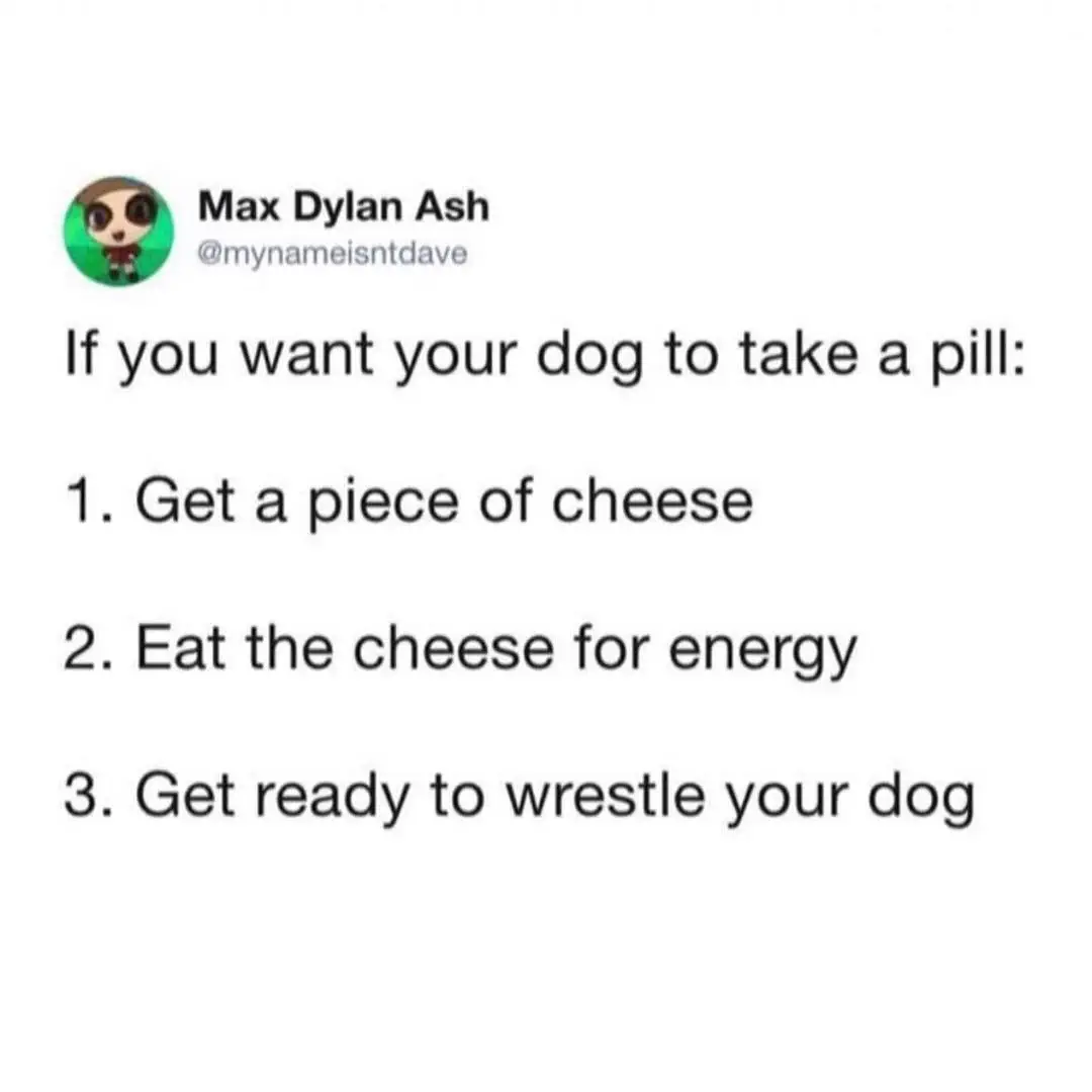 Image credit: Twitter | @mynameisntdave