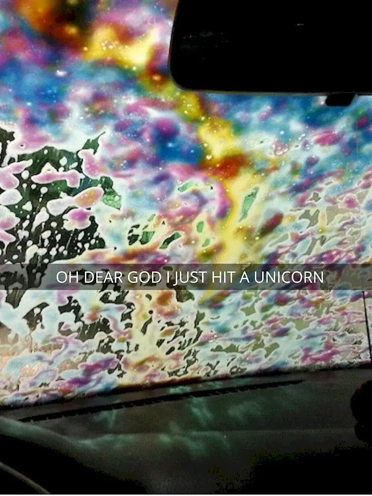 Windscreen (Image credit: Reddit | ausmus)