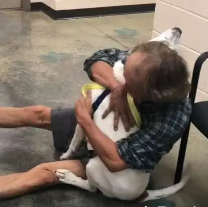 Image credit: Facebook | Memphis Animal Services