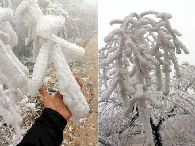 Image credit: Imgur | LittleOddishh