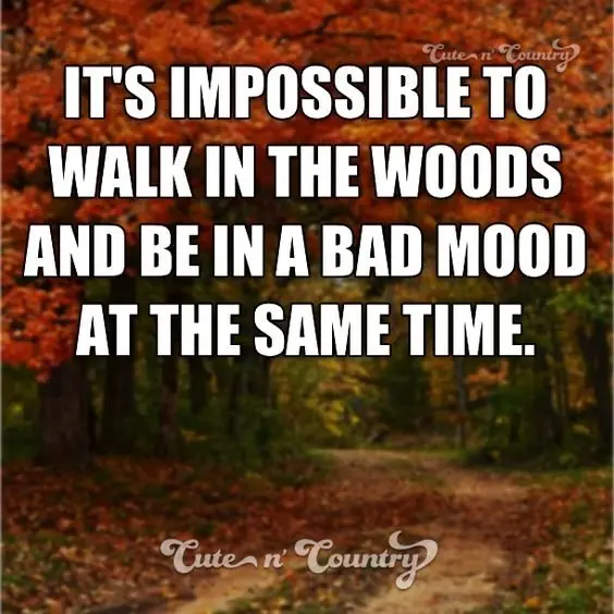 Image credit: Pinterest
