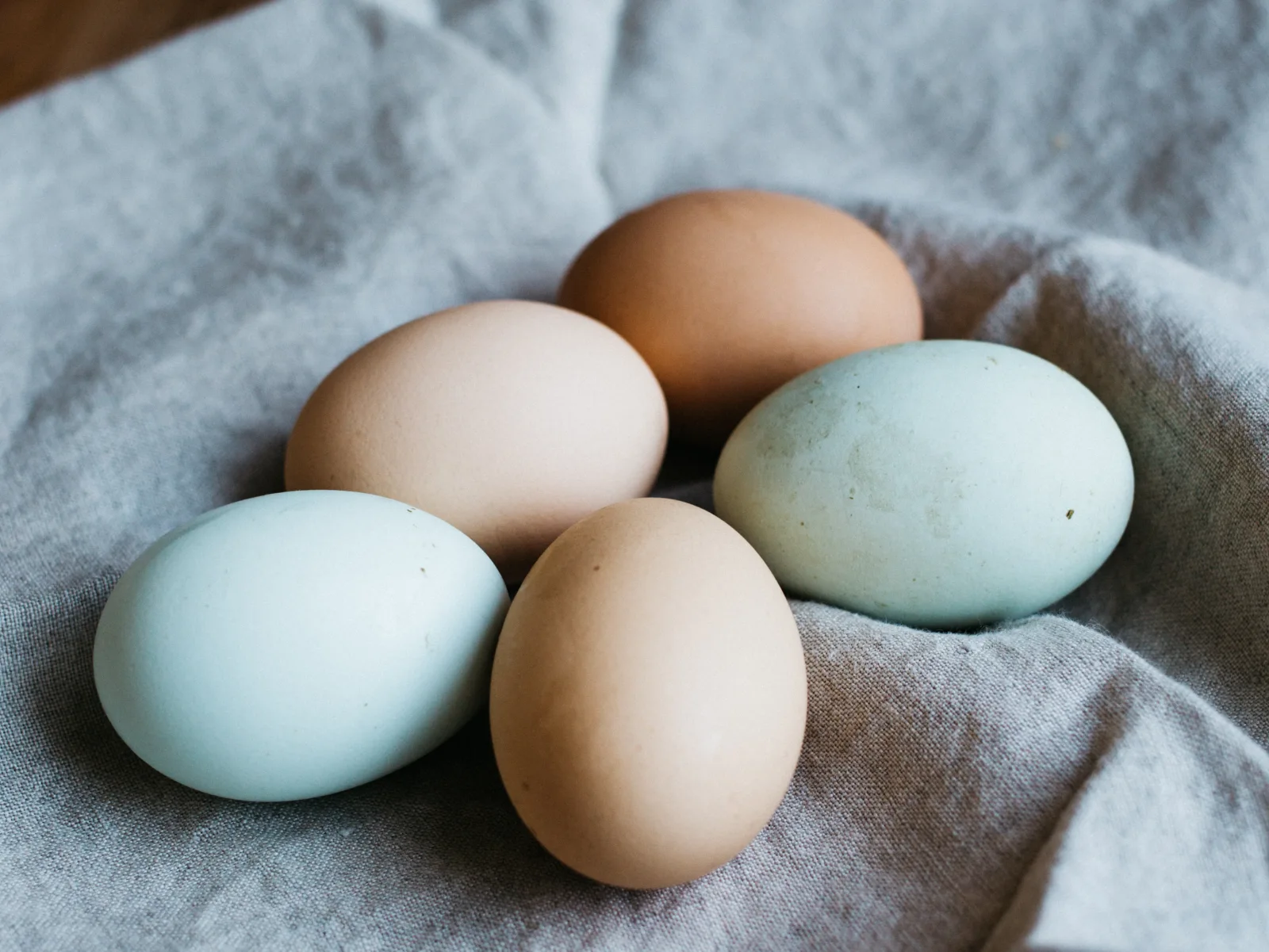 Image credit: Unsplash | Rachael Gorjestani