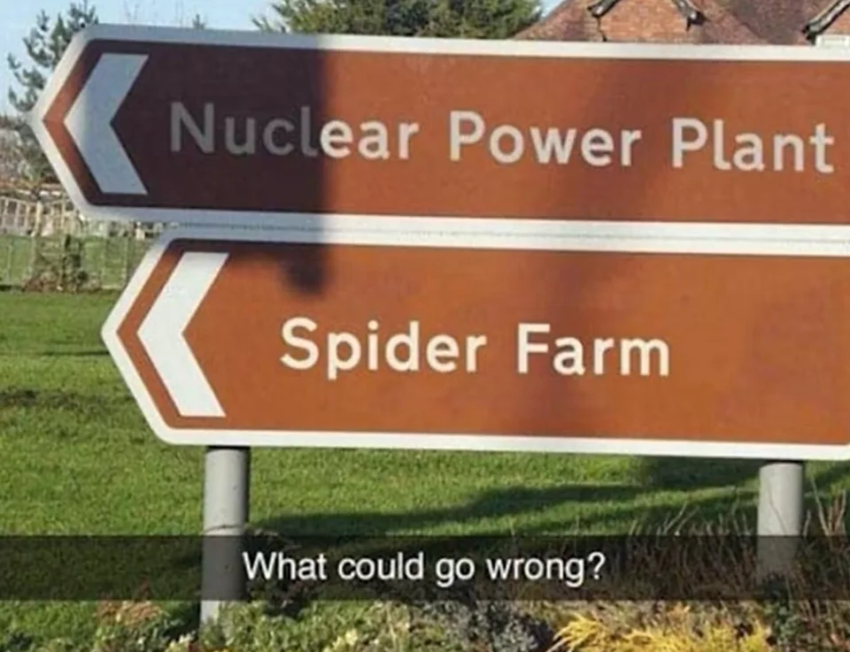 Image credit: Reddit | shakh_sharder825