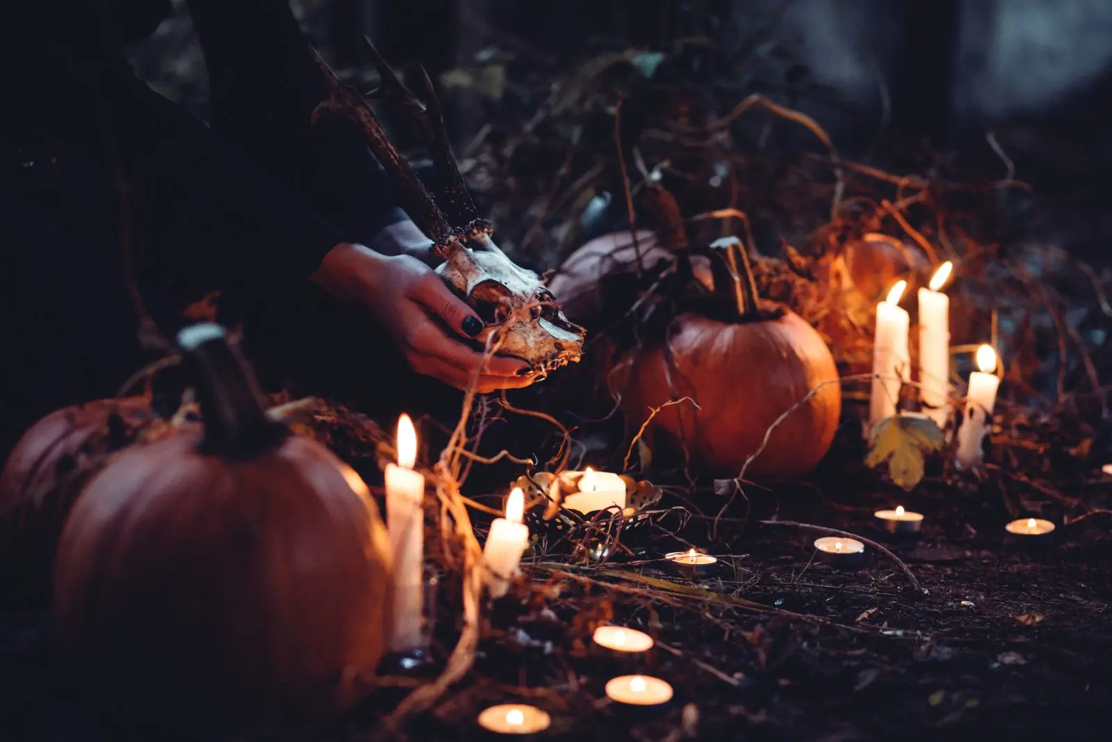 Image credit: Unsplash | freestocks.org