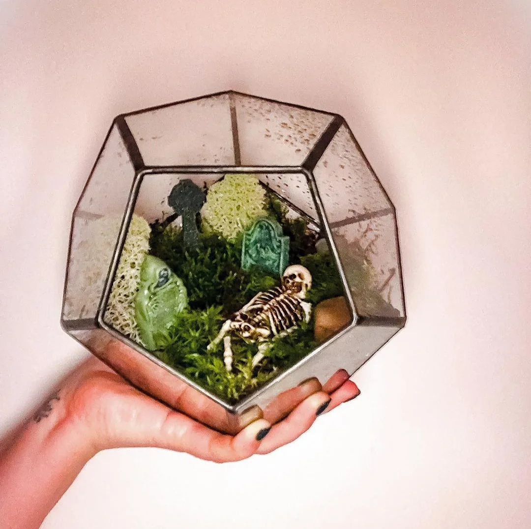 Image credit: Instagram | @plantladydayton
