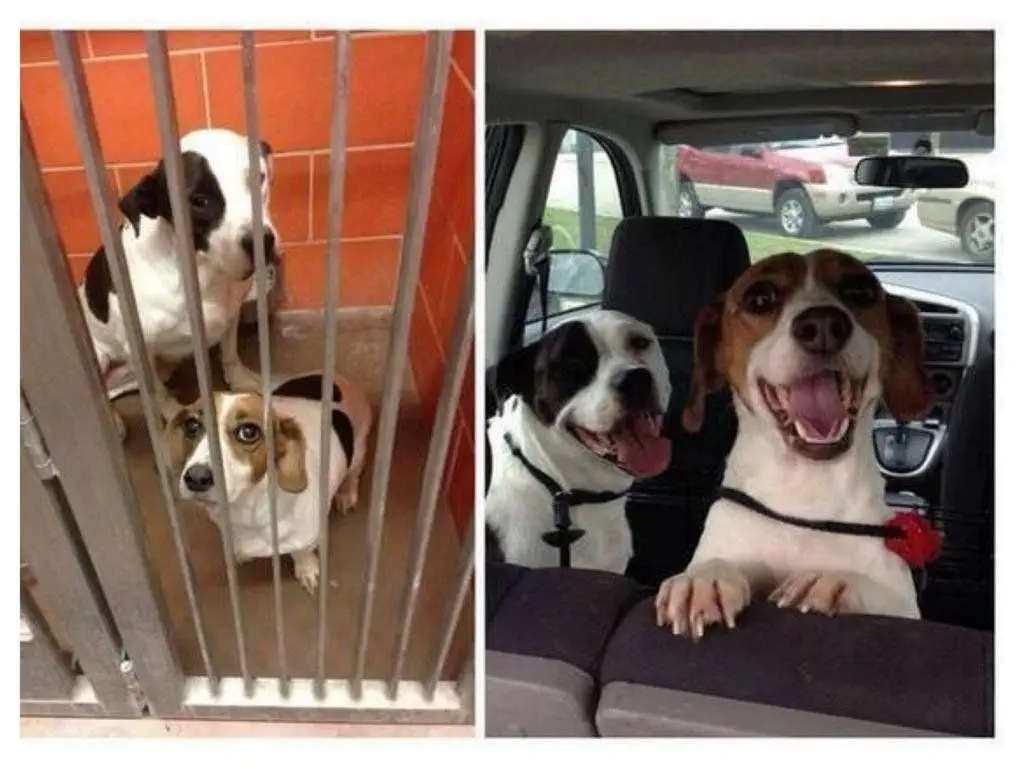 Image credit: Reddit | RecurrentlyDisturb