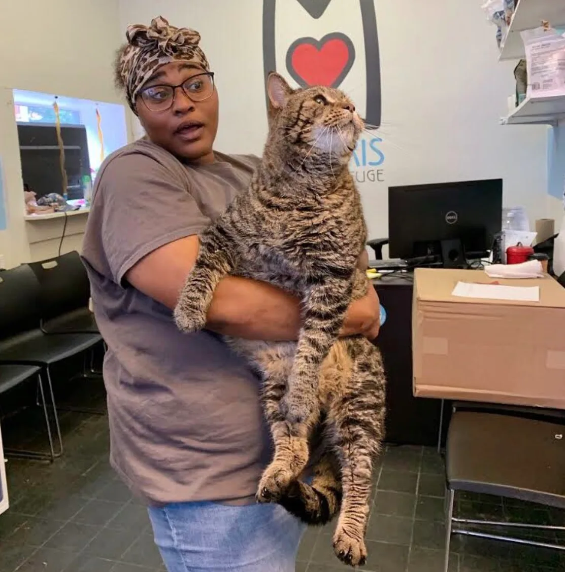Image credit: Twitter | @MorrisAnimal