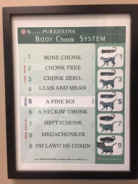 Image credit: Reddit | AsianUrination