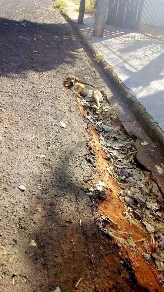 Image credit: Reddit | Turnip105