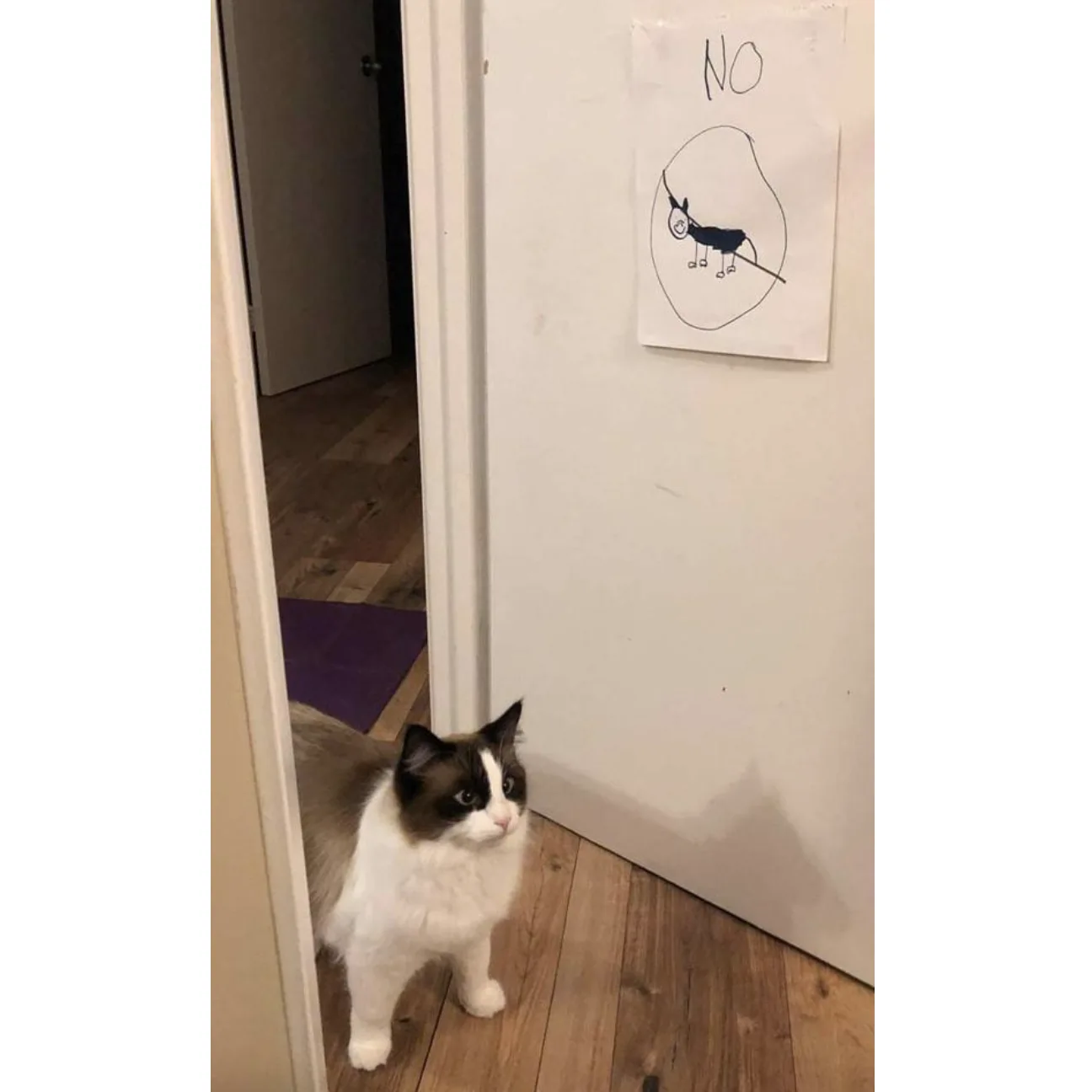 Image credit: Reddit | omgitsmint