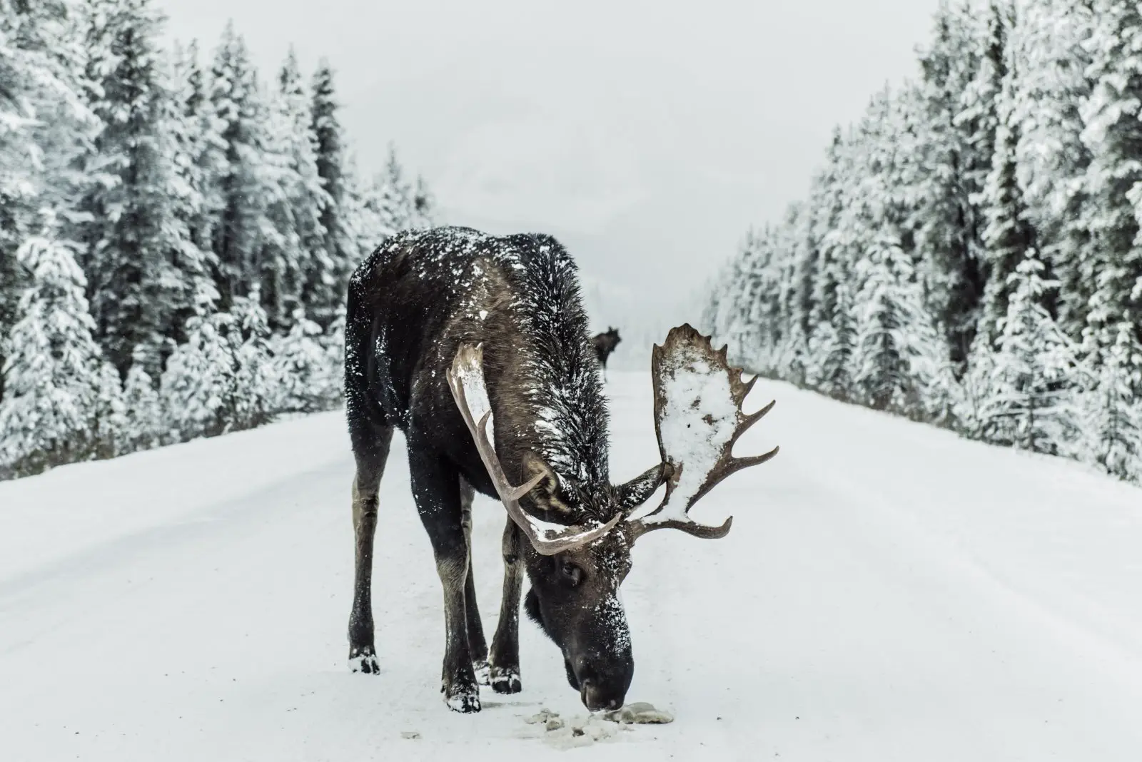 Image credit: Unsplash | Ivars Krutainis