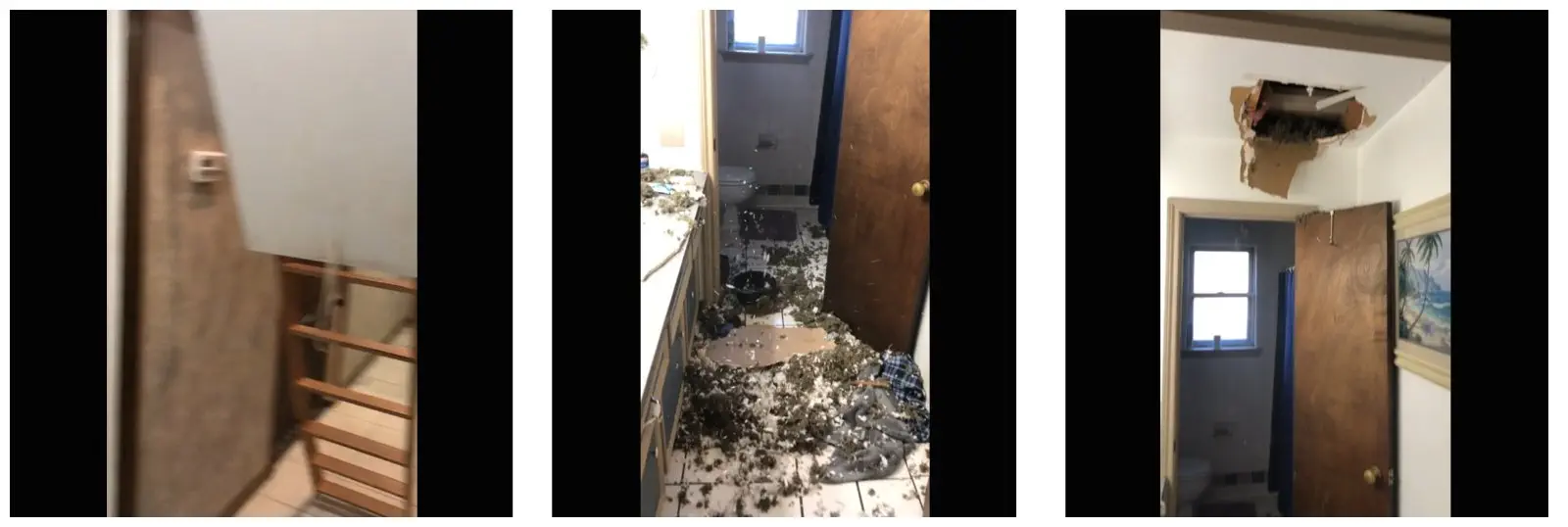 Image credit: Reddit | u/HuntersMom3