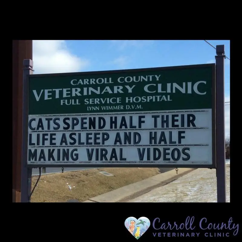 Image credit: Facebook | Carroll County Veterinary Clinic