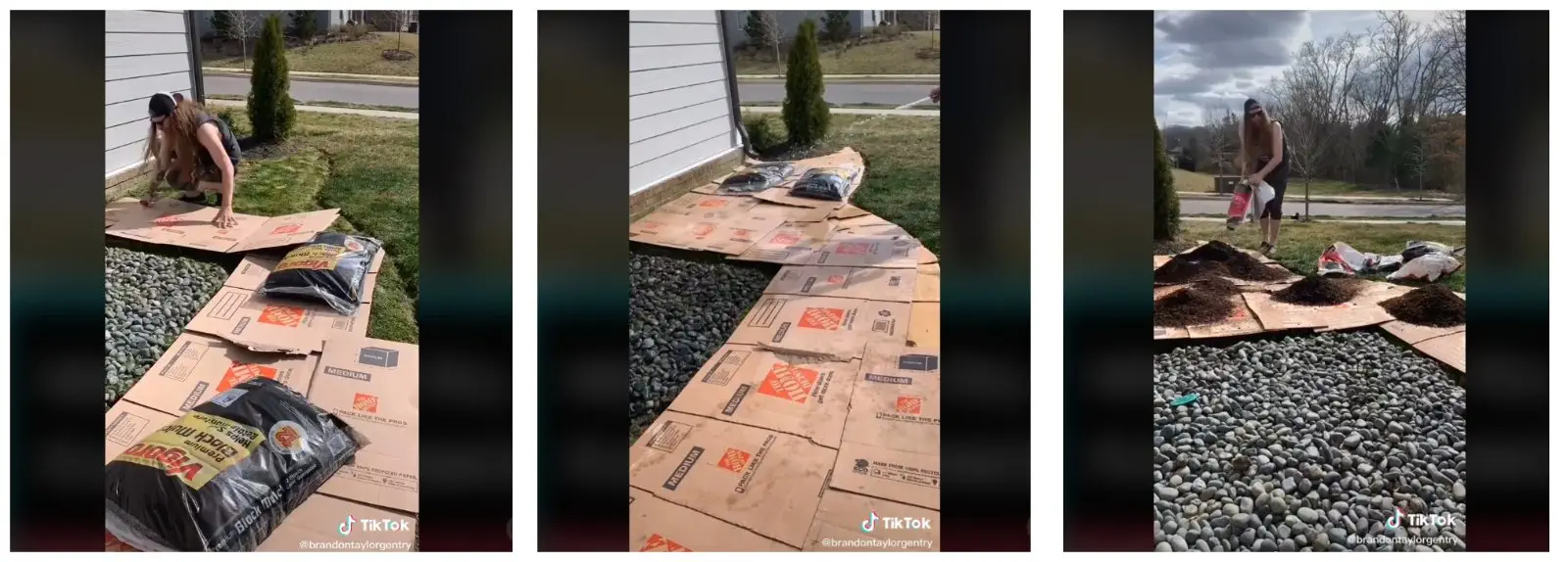 Image credit: TikTok | @brandontgentry