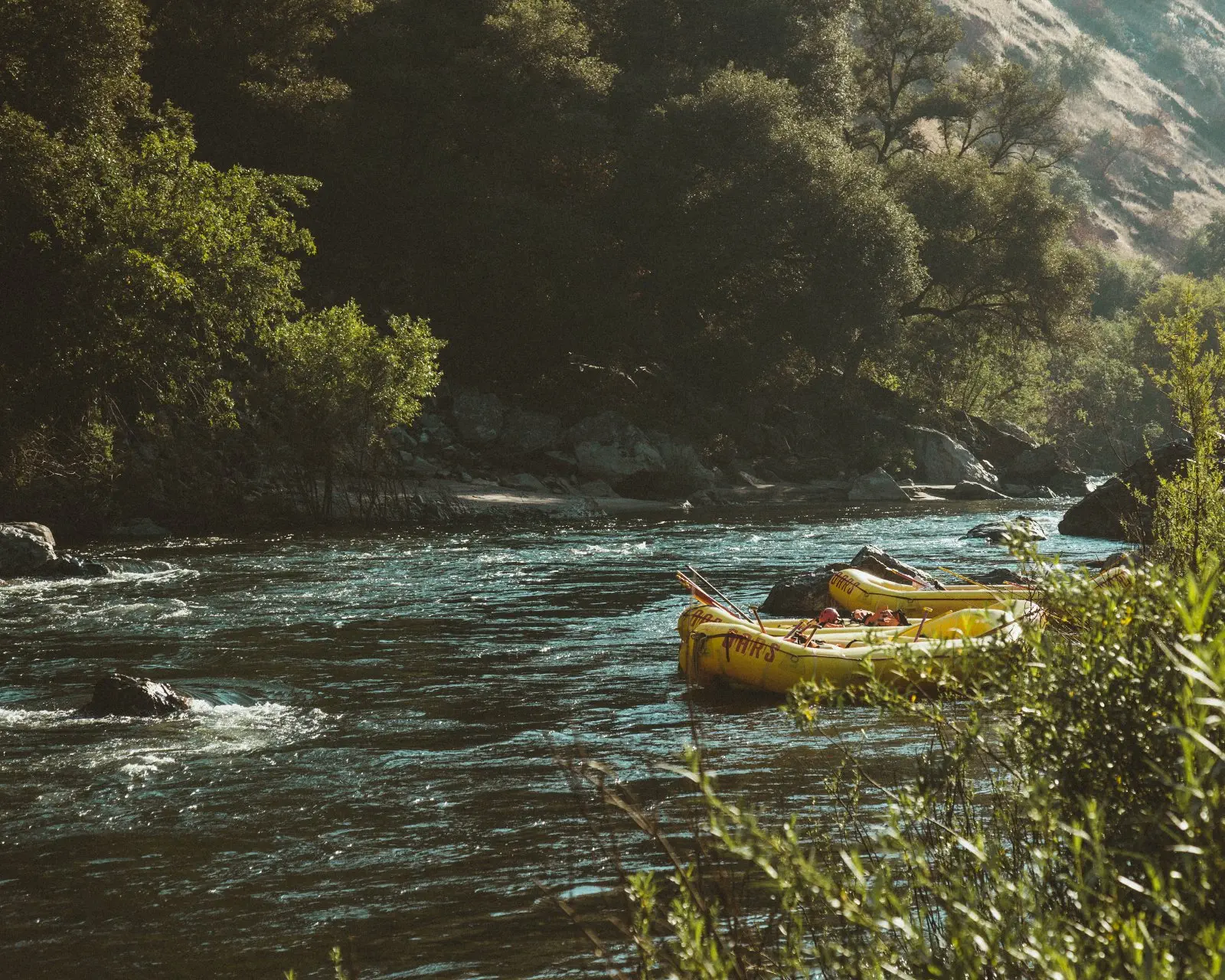 Image credit: Unsplash | Dane Deaner