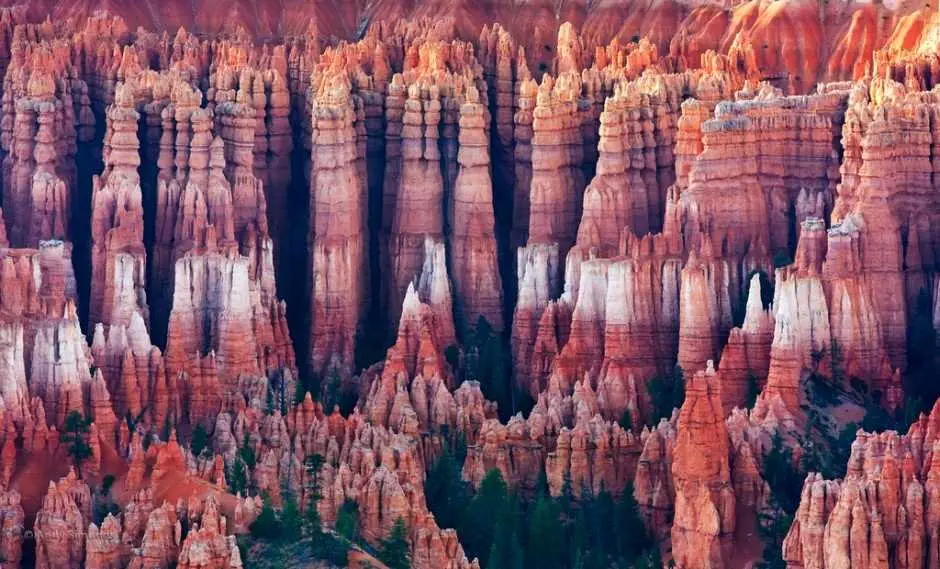 Image credit: Reddit | jusalurkermostly