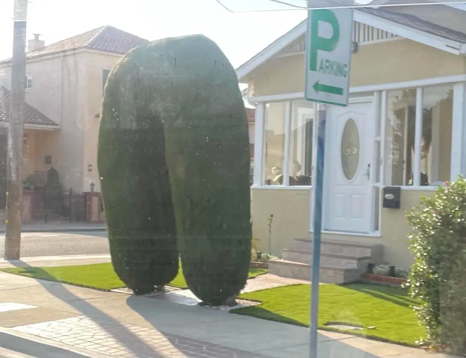 Image credit: Reddit | eyee_yyxy