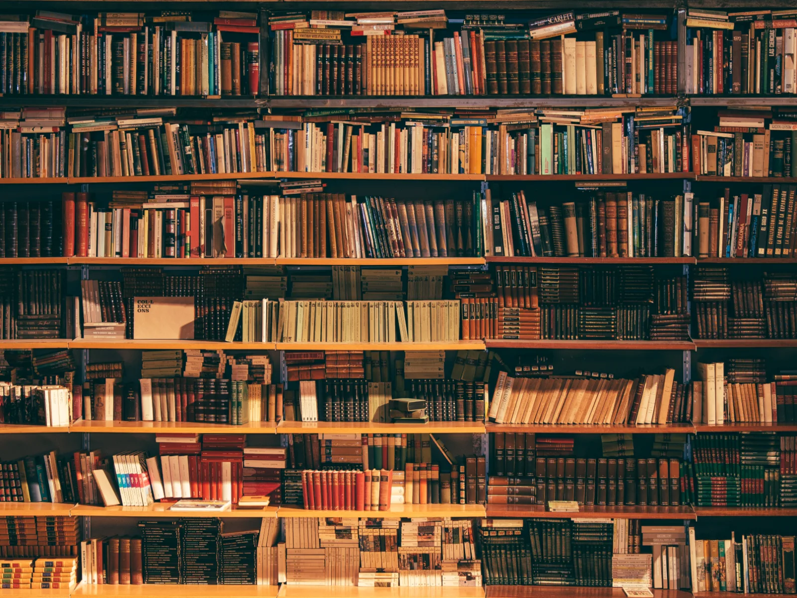 Image credit: Unsplash | Alfons Morales