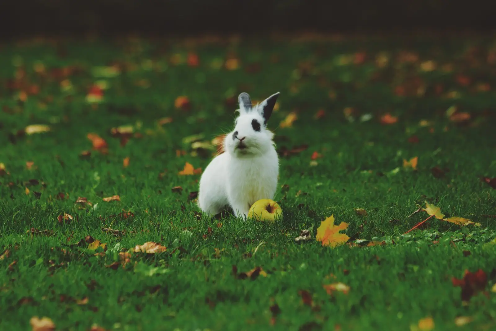 Image credit: Unsplash | Noah Silliman
