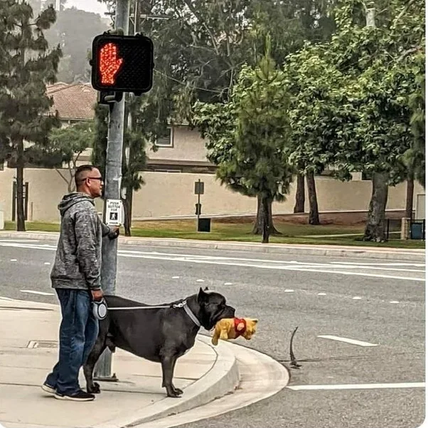 Image credit: Reddit | iVannGarc