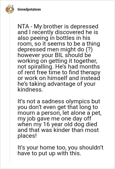 Image credit: tinnedpotatoes | tinnedpotatoes