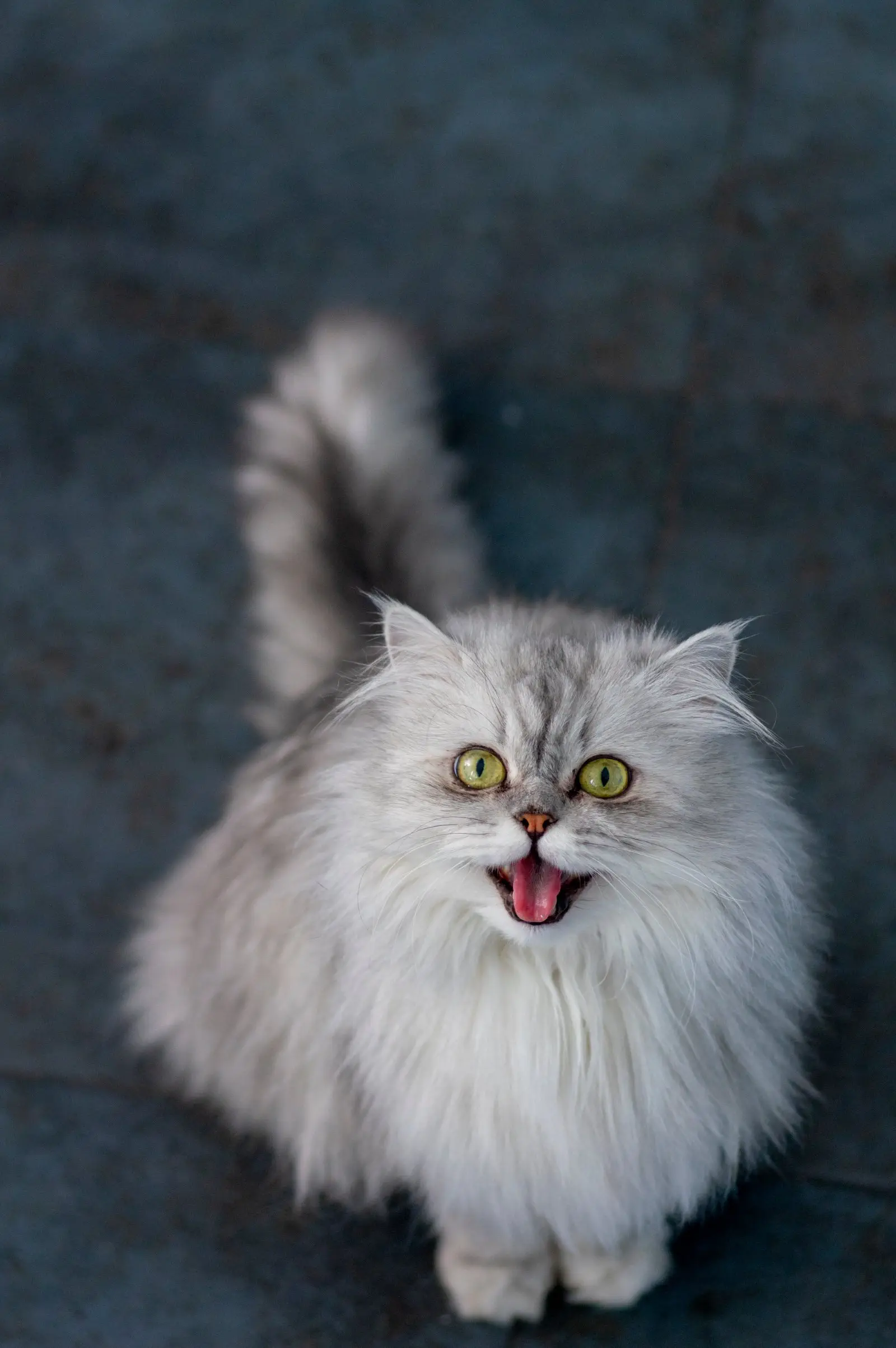 Image credit: Unsplash | Elena Mozhvilo