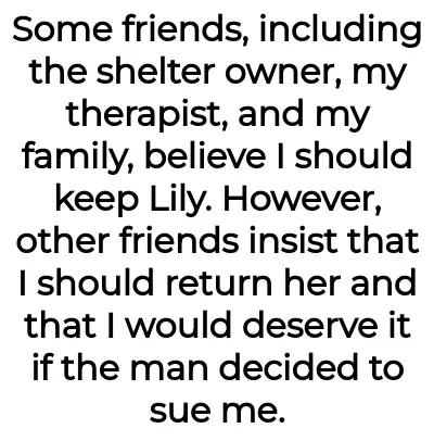 Image credit: lilypupper-aita | lilypupper-aita