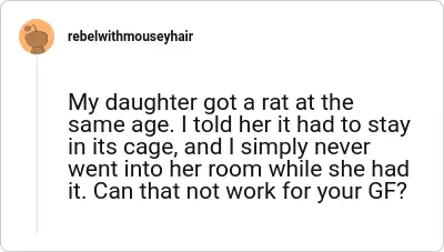Image credit: rebelwithmouseyhair | rebelwithmouseyhair