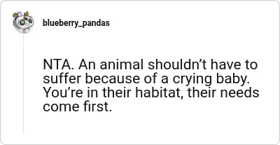 Image credit: blueberry_pandas | blueberry_pandas