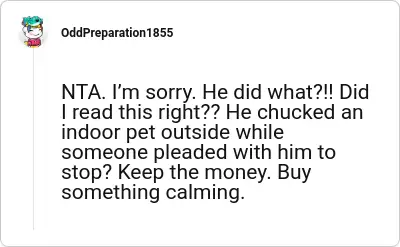 Image credit: OddPreparation1855 | OddPreparation1855