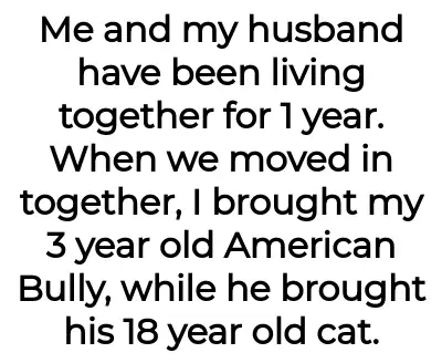 Image credit: both_refrigerator239 | both_refrigerator239
