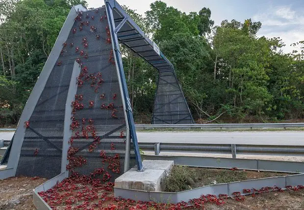 Image credit: Reddit | ArtimusMorgan