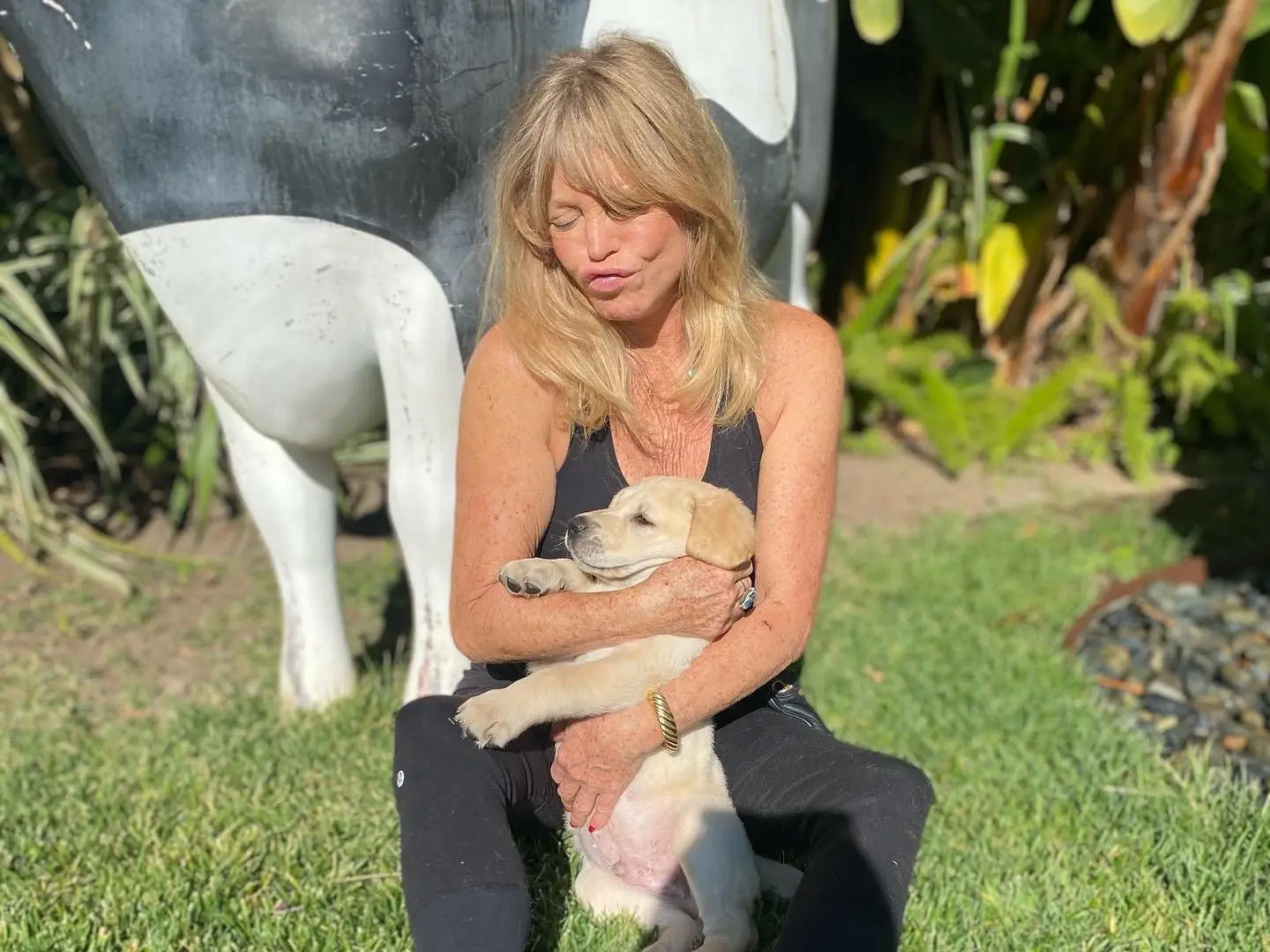 Image credit: instagram | @goldiehawn