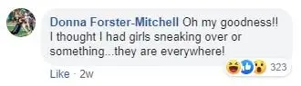 Image credit: Facebook | Donna Forster-Mitchell