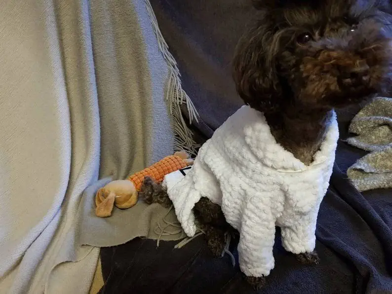 Image credit: Etsy | ThePoshPawsCompany